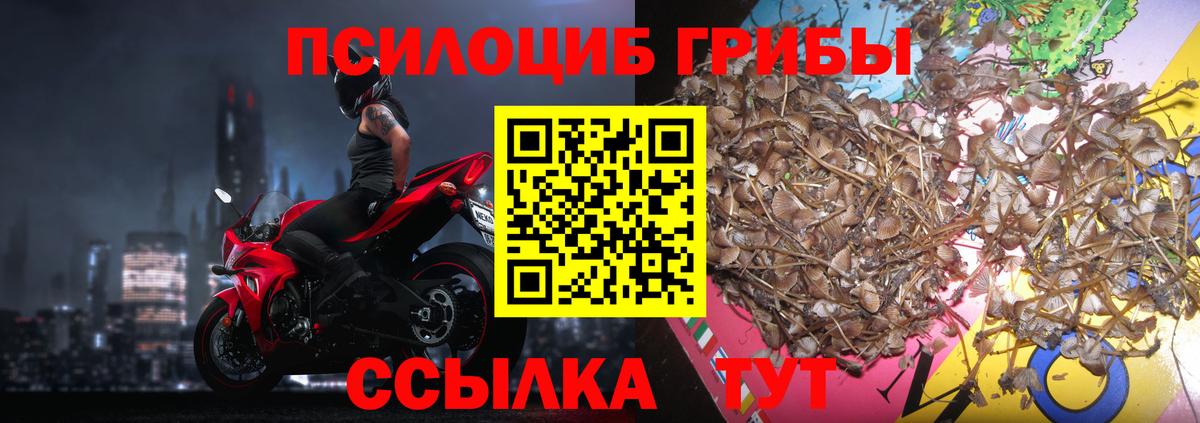 Барабинск  Галлюциногенные грибы мухоморы  Вход с VPN 