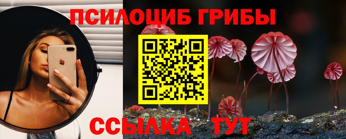 Псилоцибиновые грибы Cubensis Барабинск